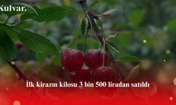 İlk kirazın kilosu 3 bin 500 liradan satıldı