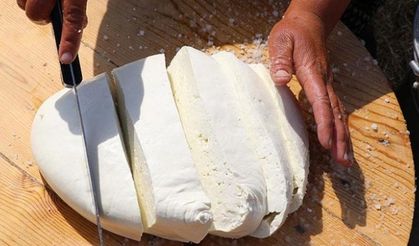 Erzincan tulum peyniri AB'den coğrafi işaret tescili aldı