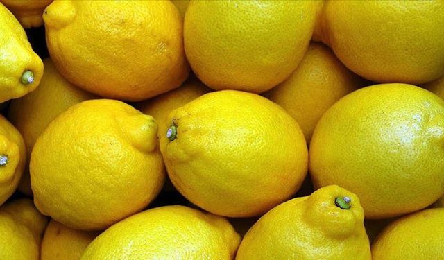 Limondaki ihracat yasağı ertelendi