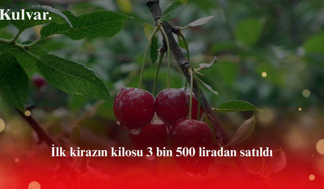 Tarım