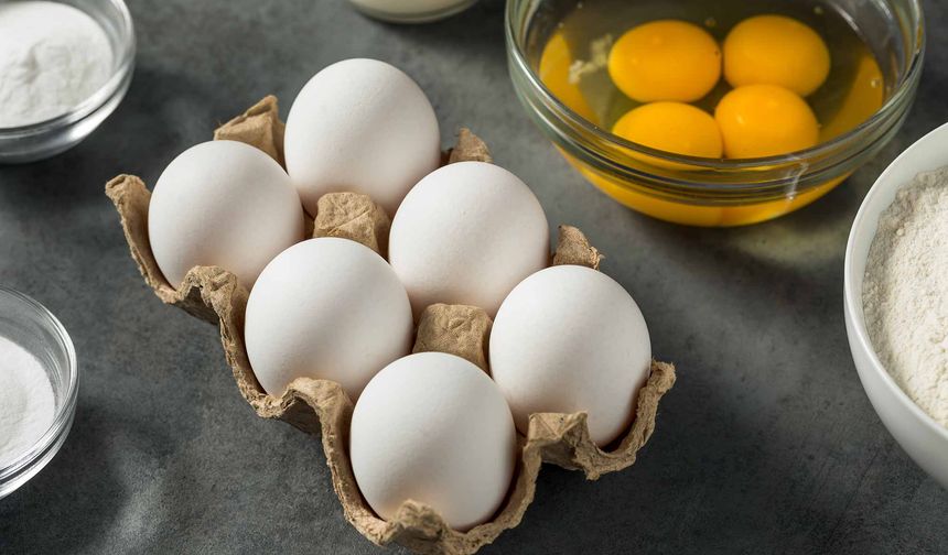 YUMURTA ÜRETİMİ DÜŞTÜ