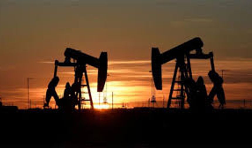 Petrol ithalatı şubat ayında yüzde 0,1 azaldı