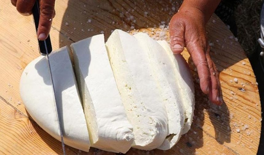 Erzincan tulum peyniri AB'den coğrafi işaret tescili aldı