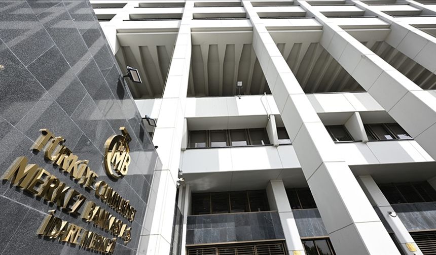 TCMB, iki kuruluşa faaliyet izni verdi